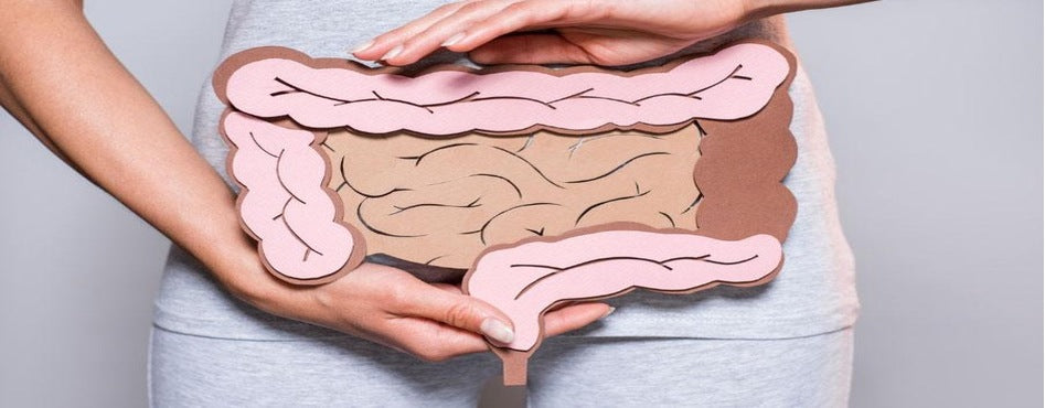Como otimizar o seu desempenho desportivo de resistência com o treino intestinal: estratégias alimentares para uma digestão eficiente