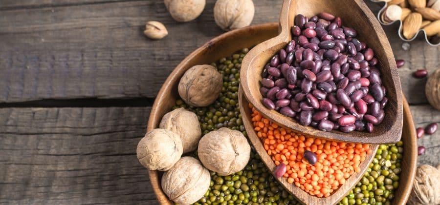 A importância das proteínas vegetais para os atletas de resistência